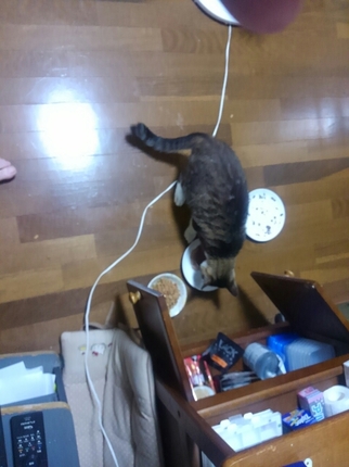 20190830043550126.jpg