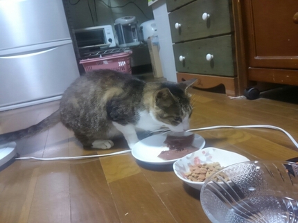 20190911021408139.jpg