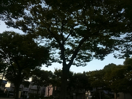 20190918000603426.jpg