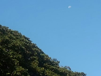 20190920072934044.jpg