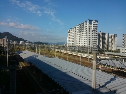 20190920080843348.jpg