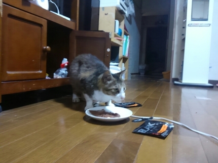 20190925030111438.jpg