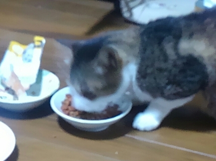 20191120051750675.jpg