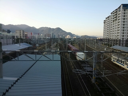 20191209081154384.jpg