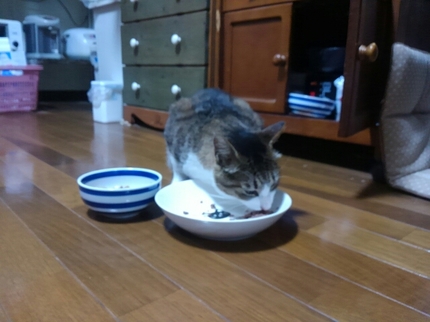 20200206031817459.jpg