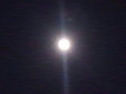 20200207004518668.jpg