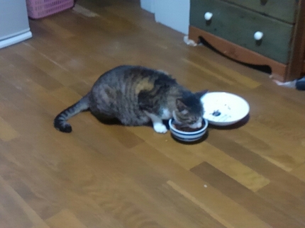 20200307011935960.jpg