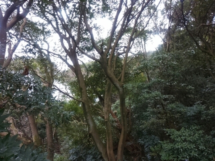 20200307133210997.jpg
