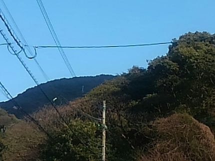 20200309015812862.jpg