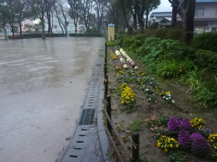 20200311010916971.jpg