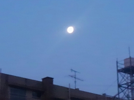 20200312065104868.jpg