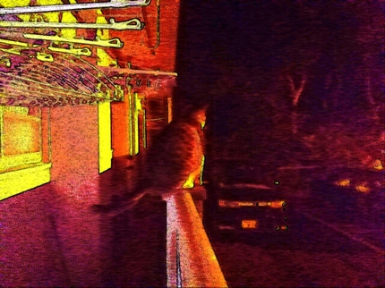 20200320032345270.jpg