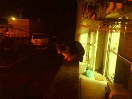 20200321052700531.jpg