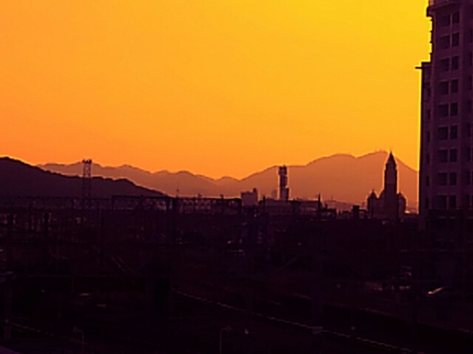 20200321173219066.jpg