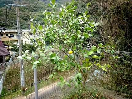 20200323014917172.jpg