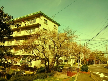 20200329102523827.jpg