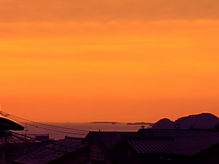 20200331024514722.jpg