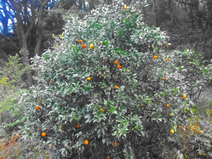 20200331063951387.jpg