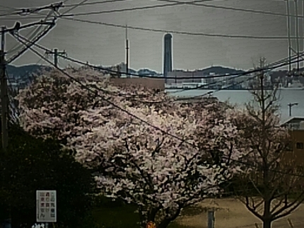 20200403150354022.jpg