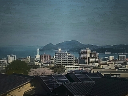 20200406081521985.jpg