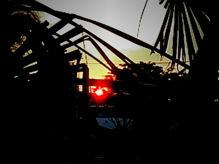 20200501031737291.jpg