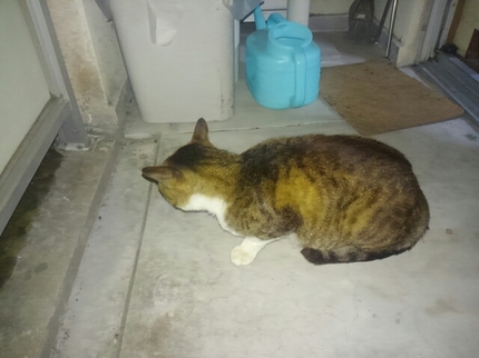 20200503032804573.jpg