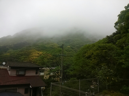 20200505072651677.jpg
