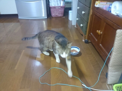 20200513035618449.jpg