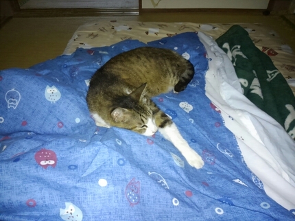 20200515115756862.jpg