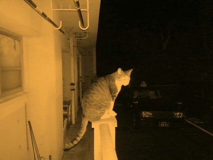 20200520034952946.jpg