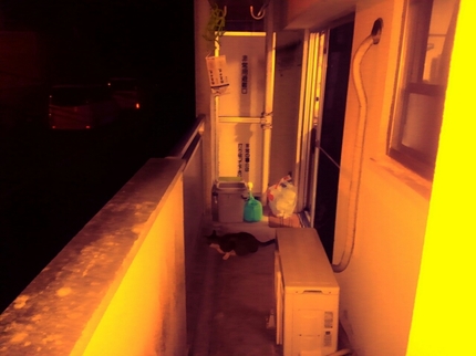 20200526040522890.jpg