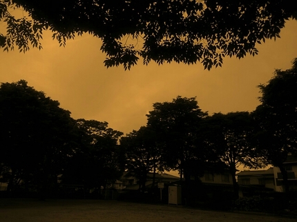 20200528005956429.jpg