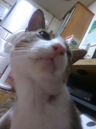 20200530025521030.jpg
