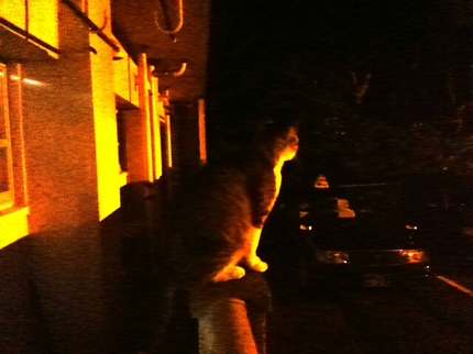 20200603032724299.jpg