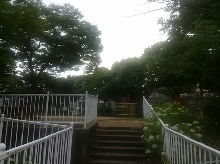 20200613055535856.jpg