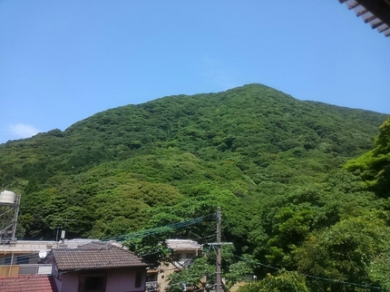 20200616130524597.jpg