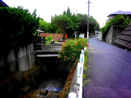 20200620055350582.jpg
