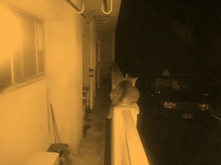 20200709032918320.jpg