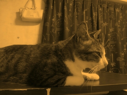 20200722010833900.jpg