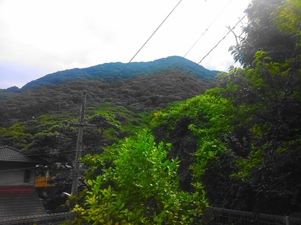 20200722011010715.jpg