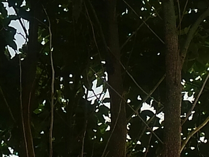 20200804012707514.jpg