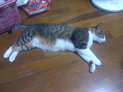 20200807031104426.jpg