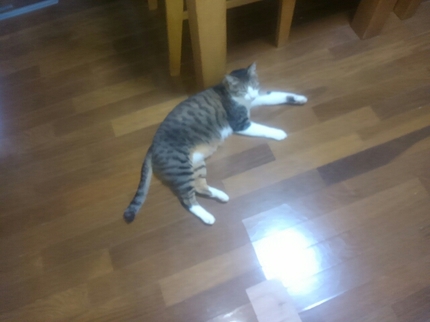 20200816024933993.jpg