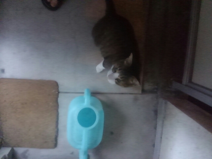 20200827025930164.jpg