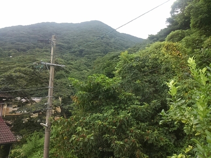 20200901080618215.jpg