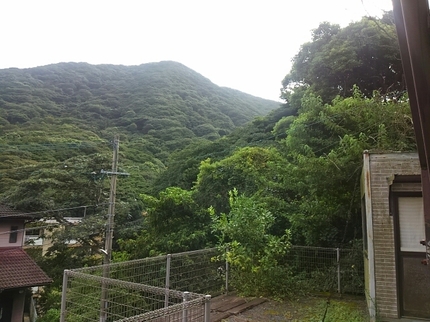 20200903085558415.jpg