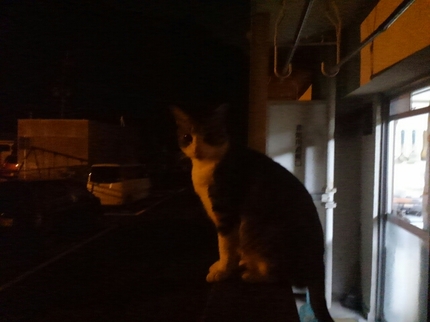20200904031317132.jpg