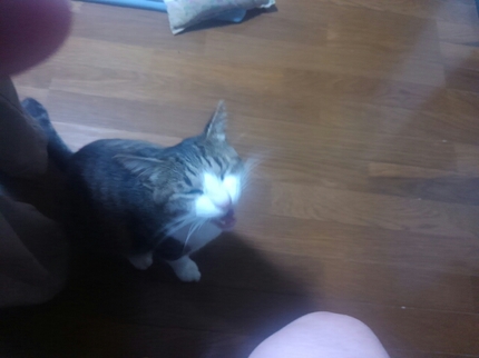 20200923050605396.jpg