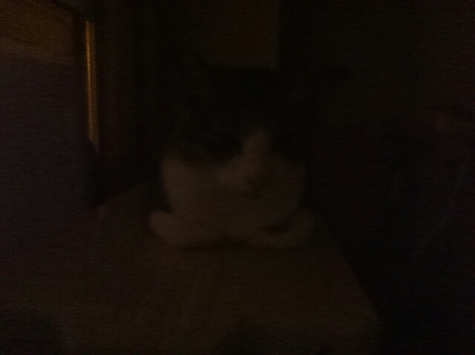 20200925064846880.jpg