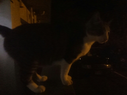 20200930025131603.jpg